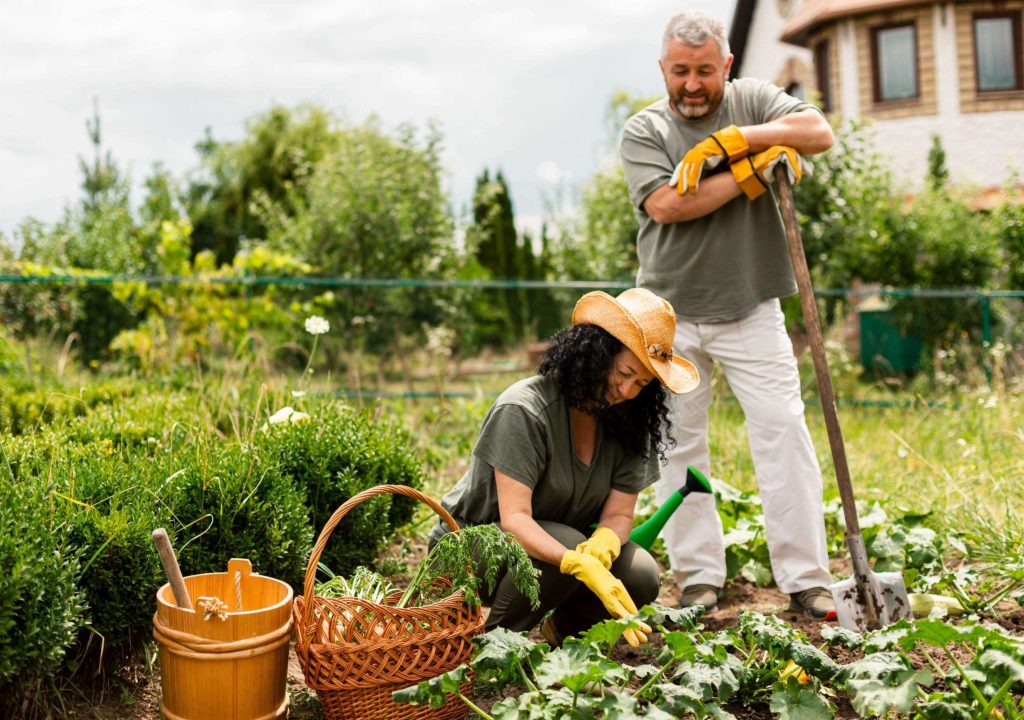 Senior couple caring for crops